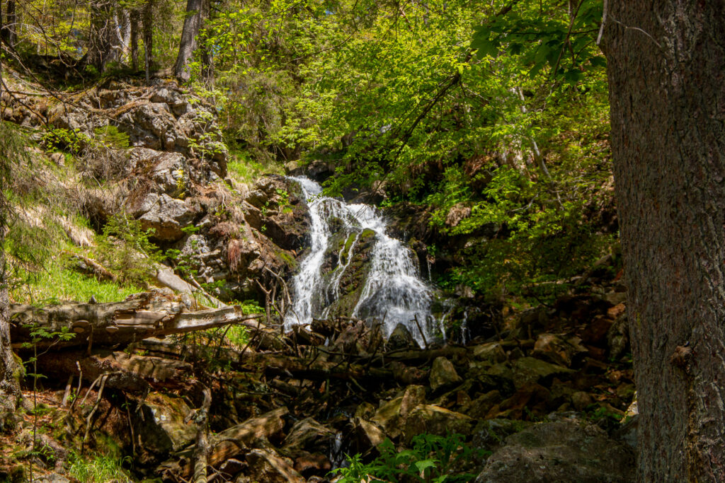 Wanderung Albrechtschachten Rindlschachten im Nationalpark Bayerischer Wald