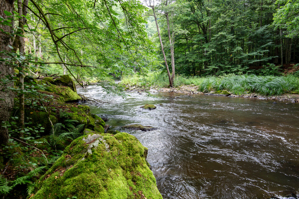 Wandern an der Ilz im Bayerischen Wald - zur Burgruine Diessenstein