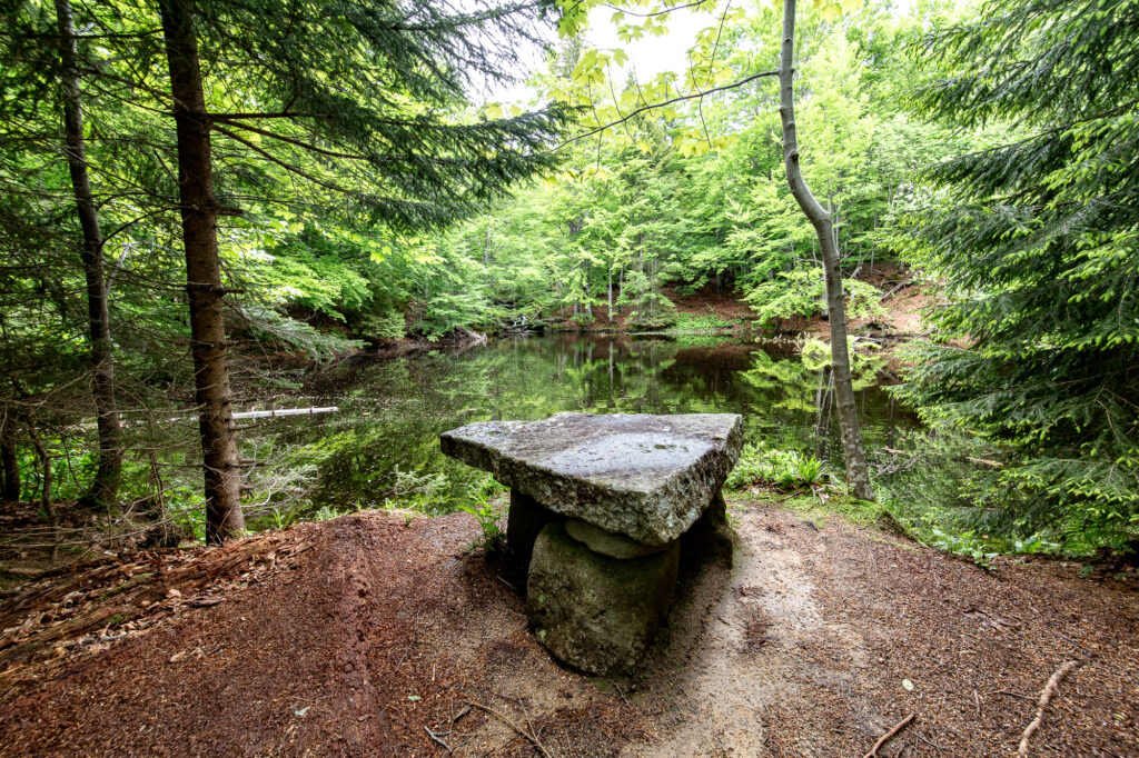 An der Sagwasserklause im Nationalpark Bayerischer Wald