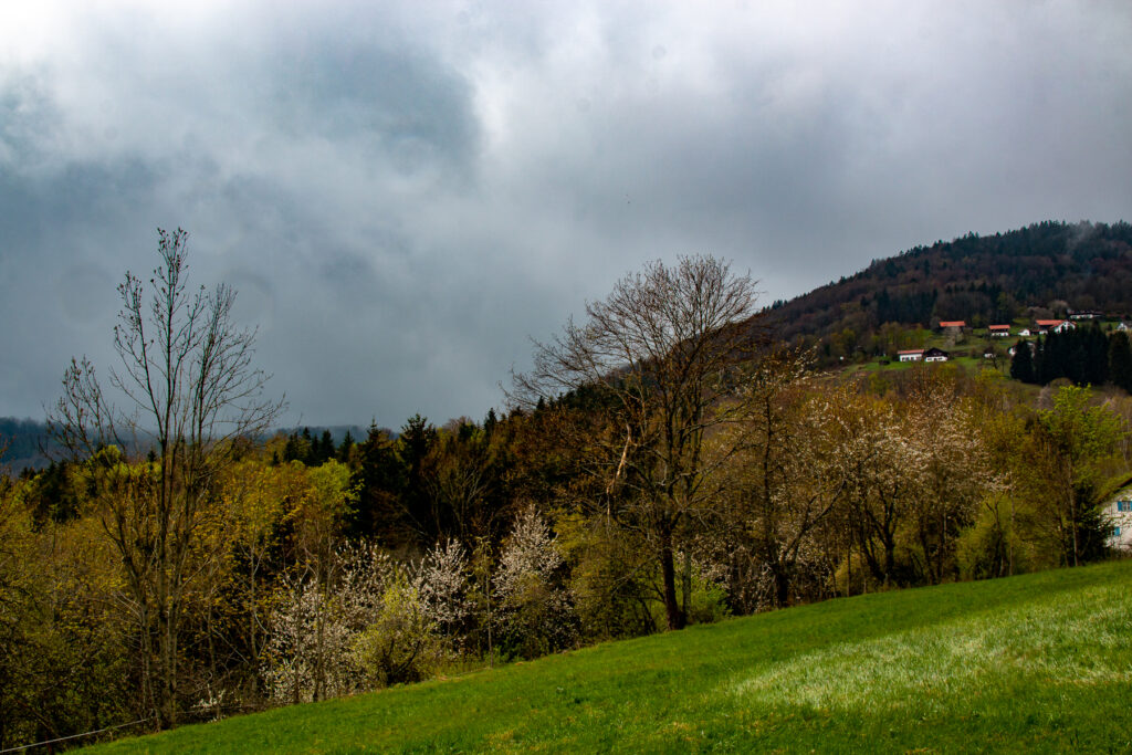 Wandern Daxstein Bayerischer Wald